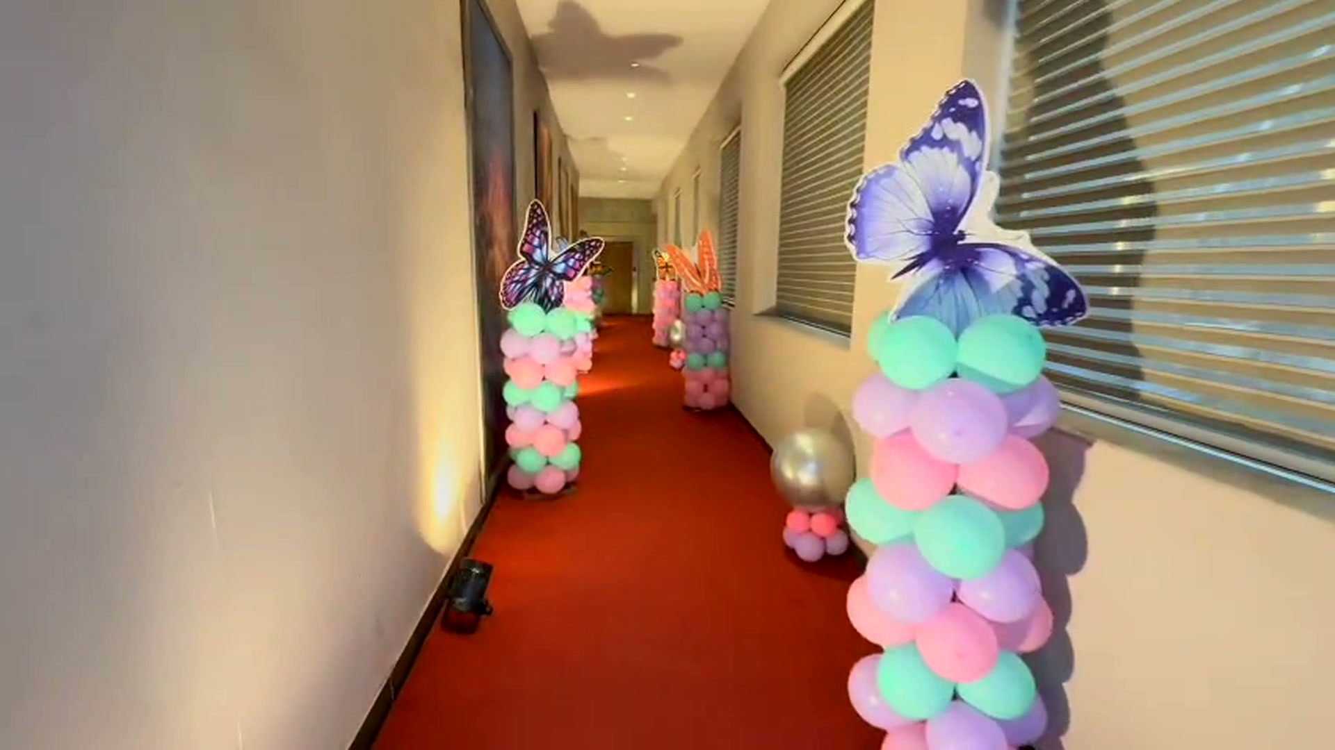 Fairytale Butterfly Garden